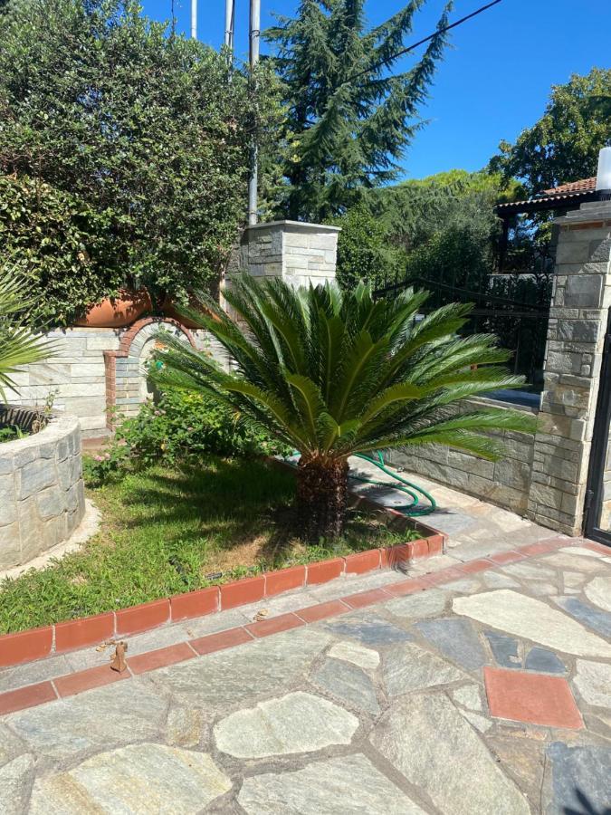 Plagiárion Villa Ariadni מראה חיצוני תמונה